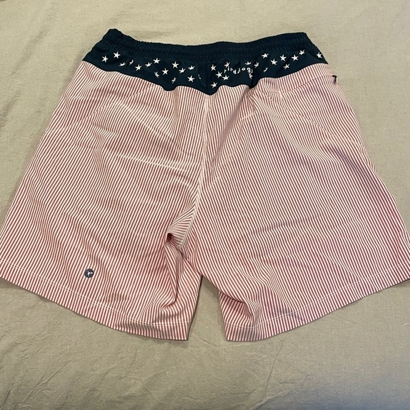 Birddogs Men Swim Hybrids - Red Stripe and Navy - Picture 6 of 10